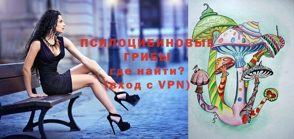 шишки Балахна