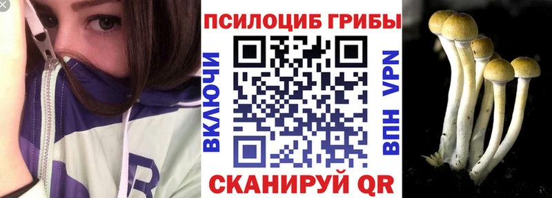 Купить  Балахна  Галлюциногенные грибы Psilocybe 