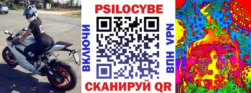 Псилоцибиновые грибы мицелий Балахна